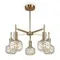 Потолочный светильник Феро / Fero Freya fr5366cl-05bs