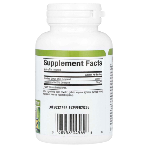 Natural Factors, HerbalFactors, листья оливкового дерева, 500 мг, 60 капсул