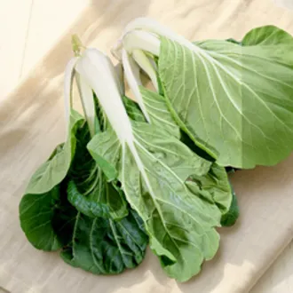 Пак чой БИО / 400 гр