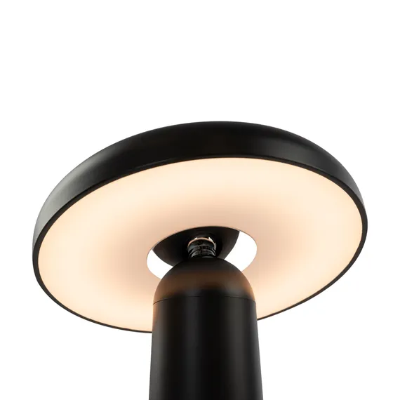 Аккумуляторный светильник Гриб / Mushroom Freya fr6109tl-l4b