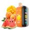 ELF BAR RAYA D3 - Mango Peach Watermelon (5% nic)