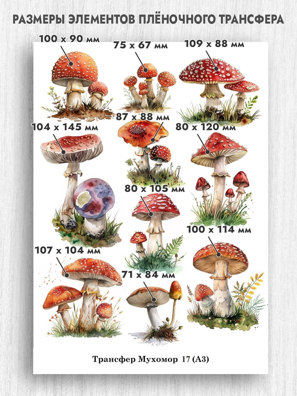 Трансфер для декупажа переводной рисунок для поверхностей мухомор 017