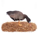 Комплект чучел Гусь Белолобый (10шт) S-XPE B622X-UV "Живое перо",  "North Way"