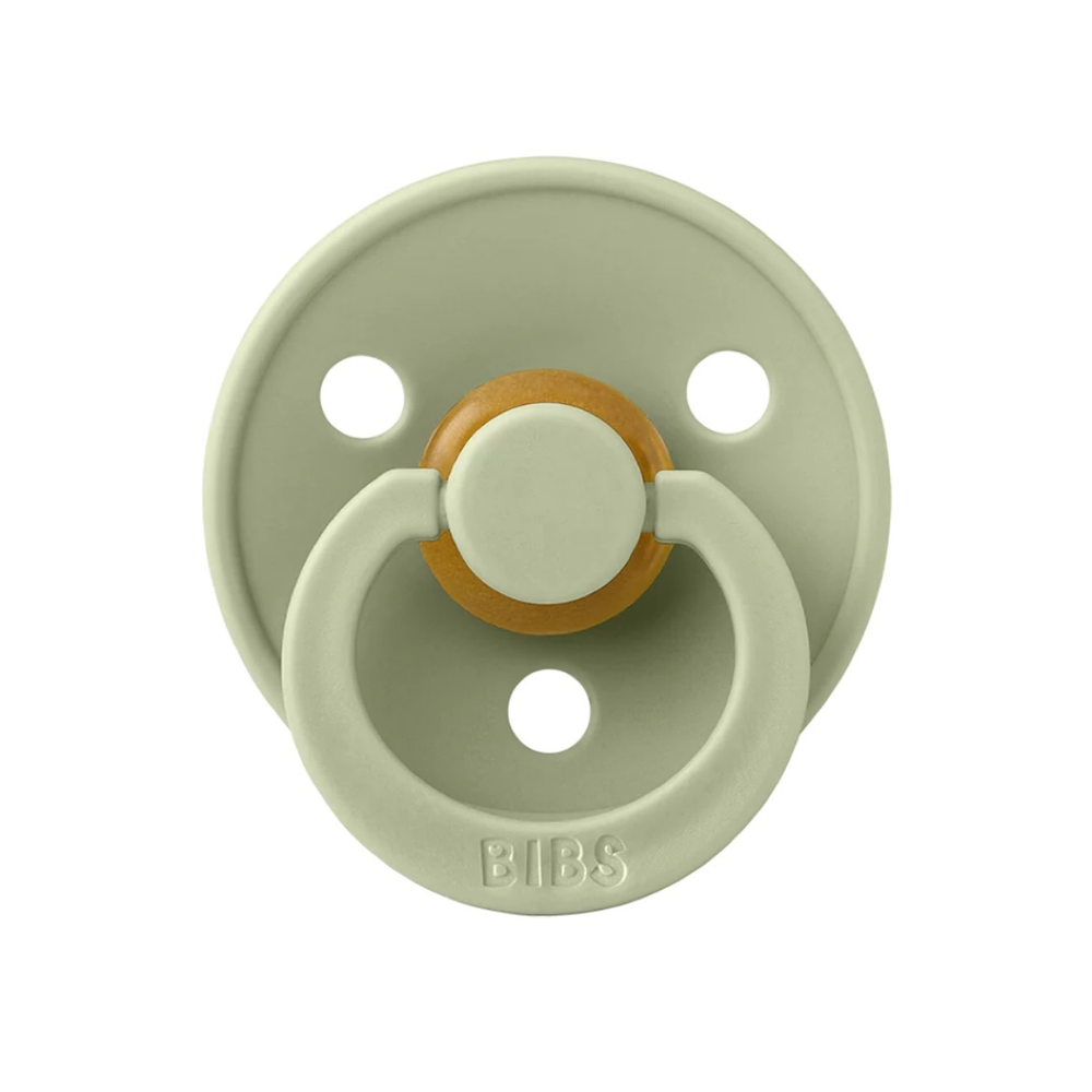 Пустышка Bibs Colour Sage