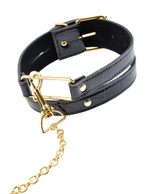 Ошейник Fetish Fantasy Gold Collar & Leash с поводком (черный с золотом) (Цвет: черный с золотым)