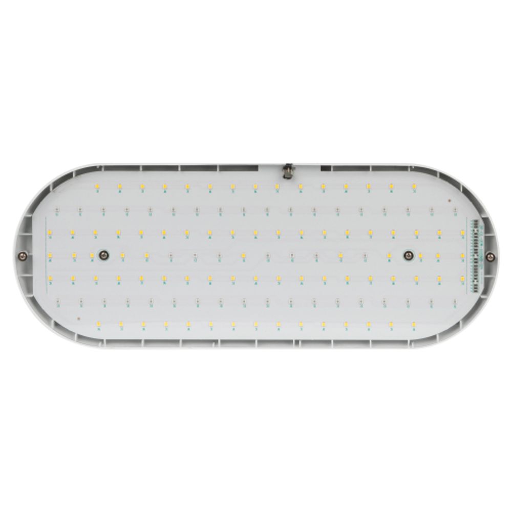 Светильник для растений ЭРА FITO-25W-QLED-FLY подвесной полного спектра 25 Вт | Интерьерные фито светильники