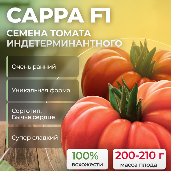 САРРА F1 семена томата Clause купить – фото 1