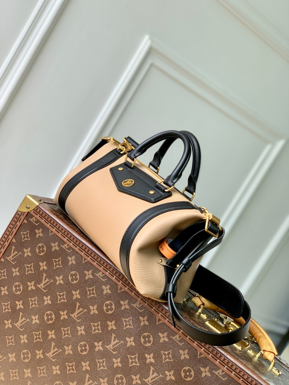 Louis Vuitton LV Biker PM