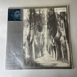 Винтажная виниловая пластинка LP Евгений Бачурин Дерева. Песни (СССР 1982)