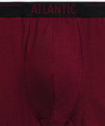 Мужские трусы шорты Atlantic, набор из 5 шт., хлопок, коричневые + графитовые + чёрные + фиолетово-серые + каберне, 5SMH-004