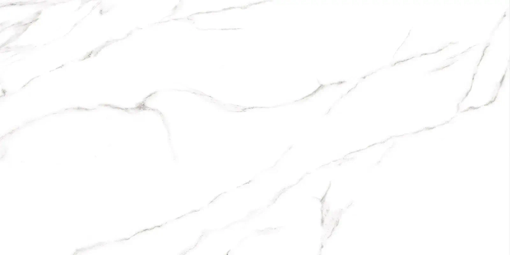 Керамогранит Alma Ceramica GFU60120CRR00R Carrara 60x120 белый глазурованный матовый под камень