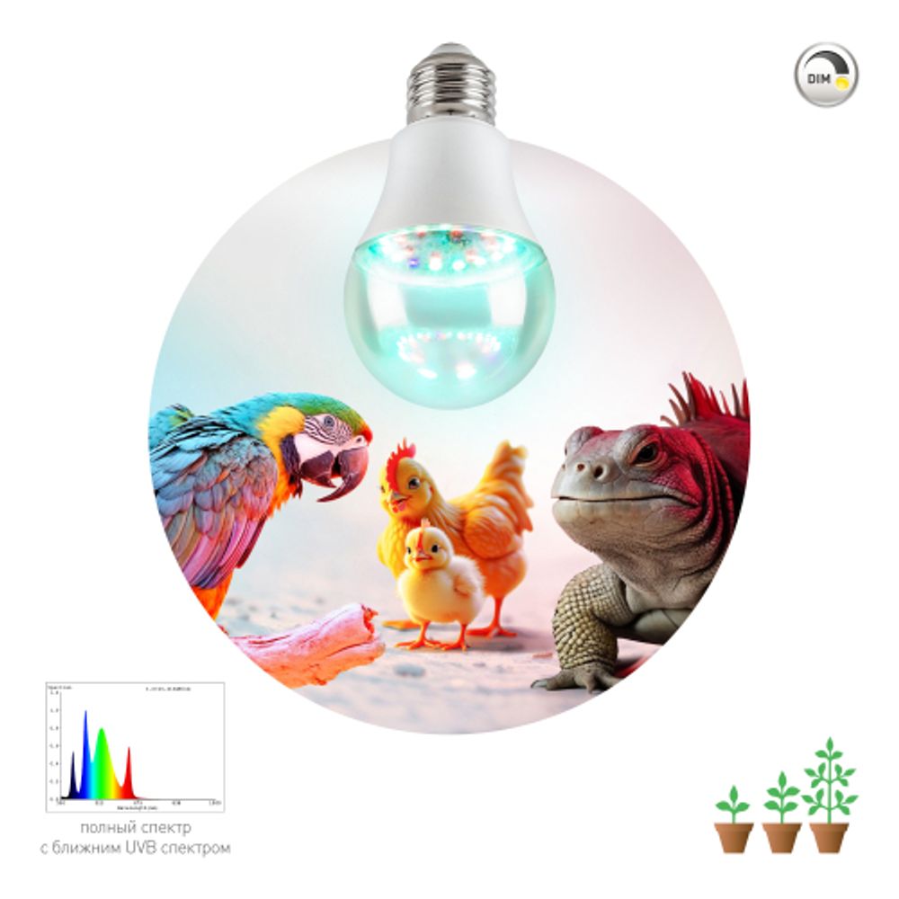 Лампа для птиц и рептилий ЭРА Chicken с UVB спектром FITO-Dim 9W E27 | Лампы для птиц и рептилий