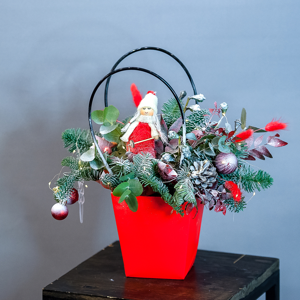 Нобилис в красной сумке с эвкалиптом