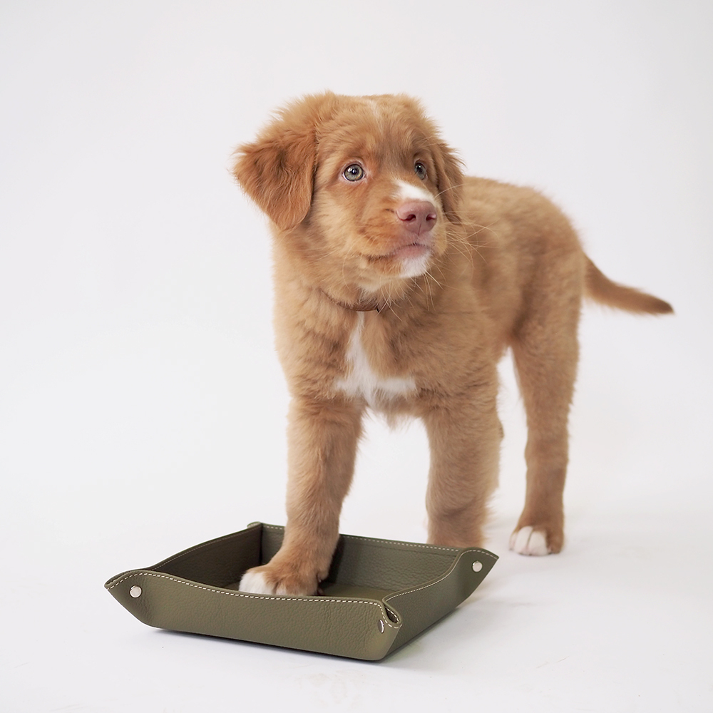 Лоток для мелочей из натуральной кожи теленка, зеленого цвета