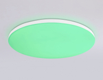 Потолочный светодиодный светильник с Wi-Fi Яндекс Алисой/Tuya/Smart Home/Alexa FZ2002 WH белый IP54 25W 3000K-6500K+RGB D370*55 (ПДУ ИК)