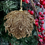 Артишок золотистый