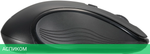 Мышь Acer OMR303 черный (ZL.MCECC.01Y)