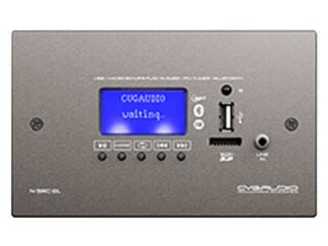 CVGAUDIO N-SRC-BL внешний универсальный настенный источник сигнала