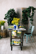 Majolica Photo Day