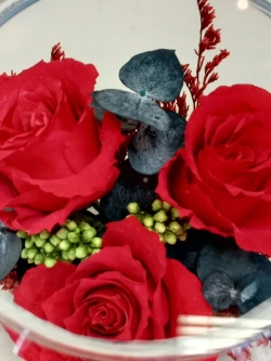 натуральные кустовые розы в стекле, вакуум