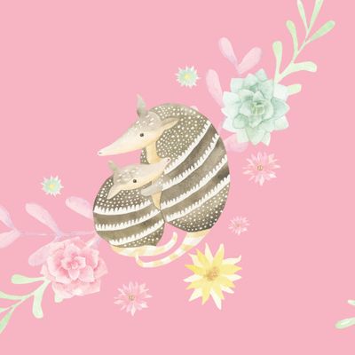 Броненосцы мама и малыш на розовом