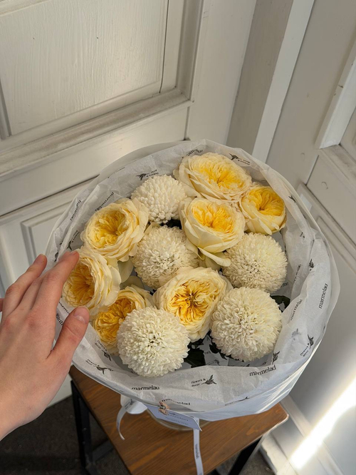 собран сегодня #01