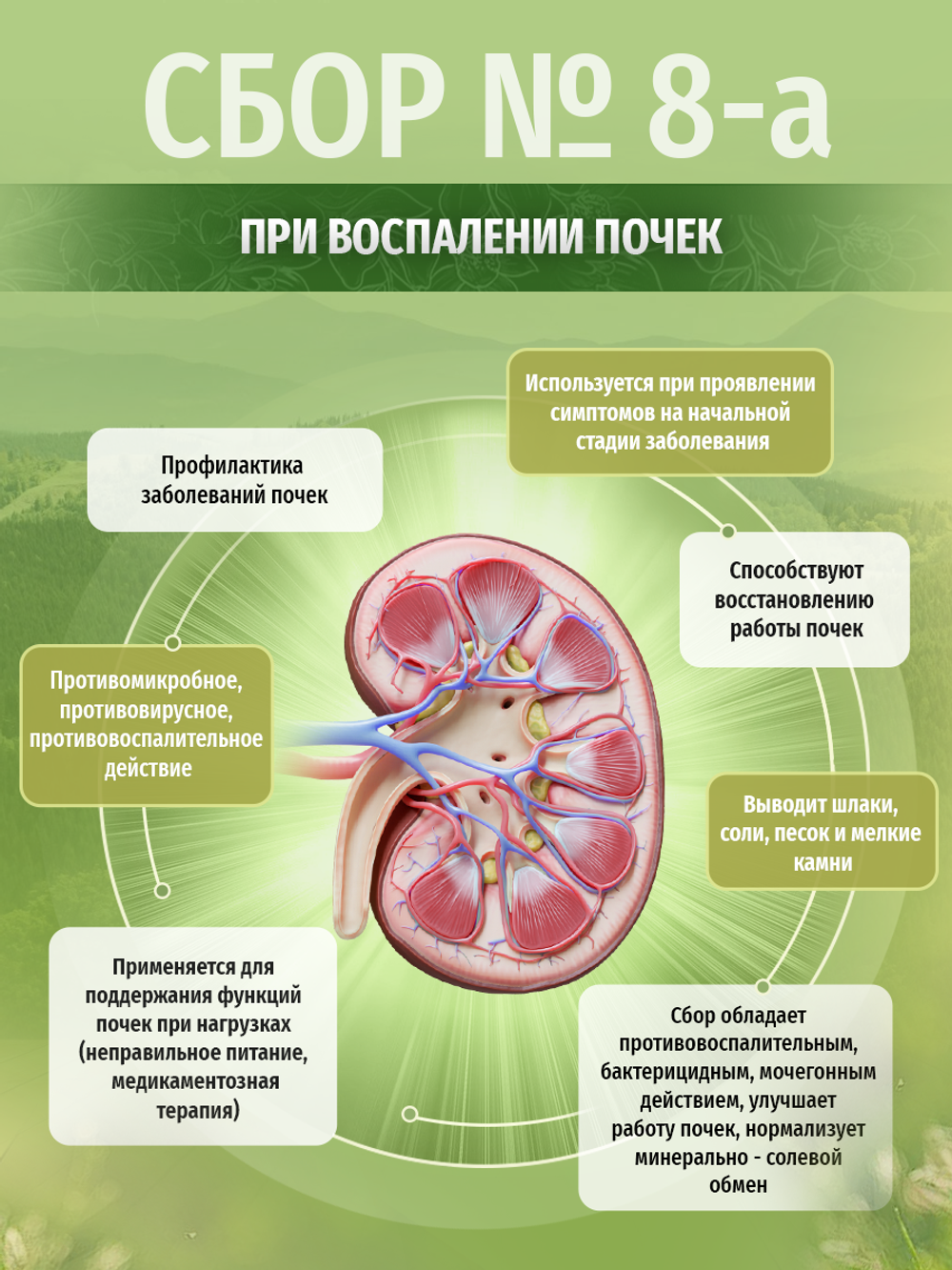 Сбор при заболевании почек № 8-а