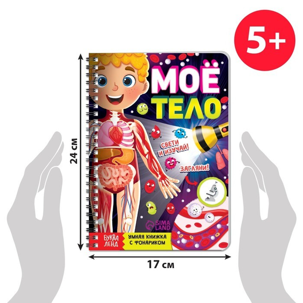 Умная книжка с фонариком «Моё тело» Свети и изучай
