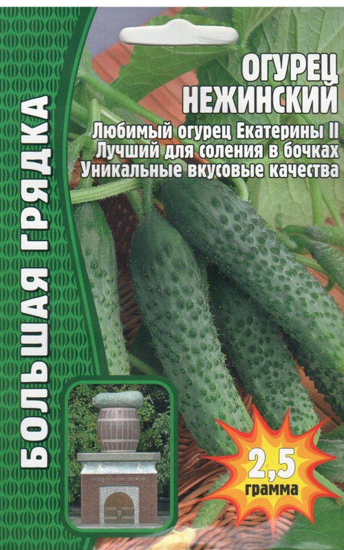 Огурец Нежинский