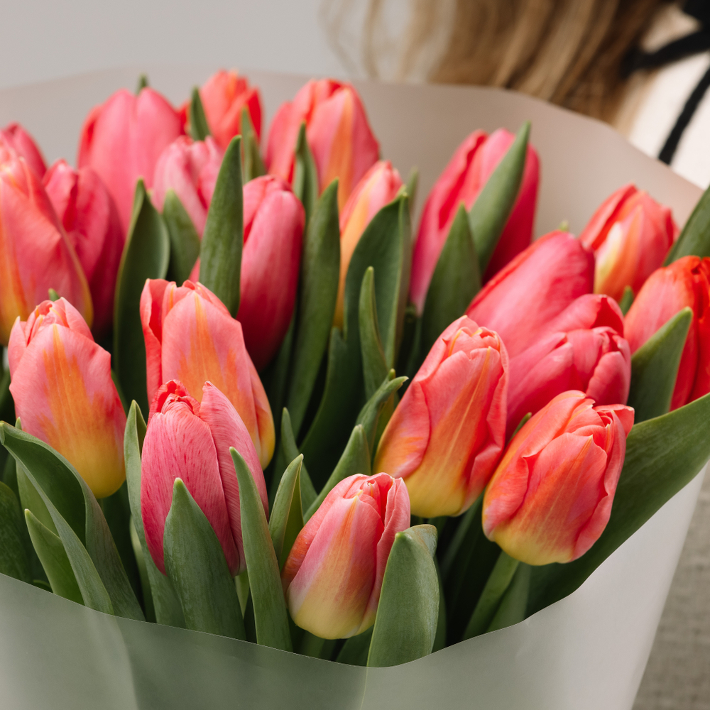 Моно- букет 25 шт. (цвет королевский розовый)