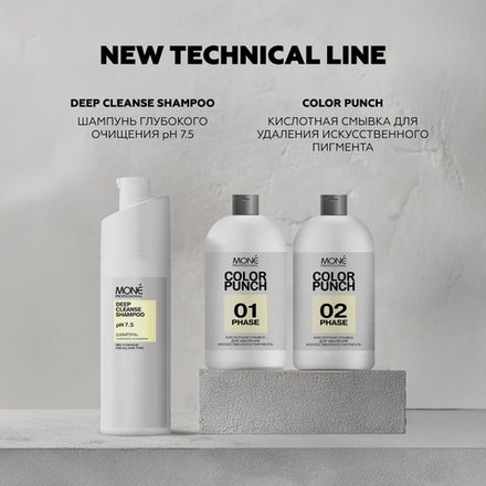 Mone Professional Кислотная смывка Восстановитель COLOR PUNCH 02 PHASE, 500 мл