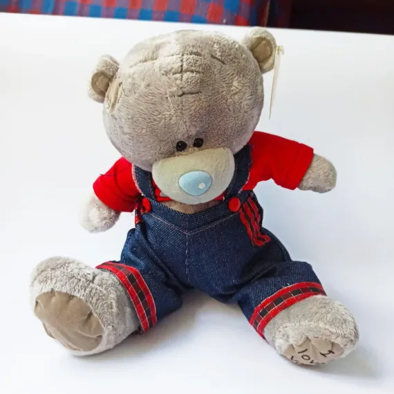 Yumşaq oyuncaq \ Мягкая игрушка \ Soft toys Teddy kombinezon