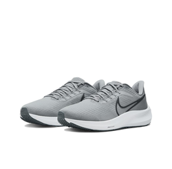 Мужские кроссовки Nike Air Zoom Pegasus 39 DH4071-005