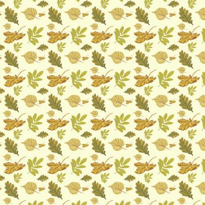 Опавшая листва