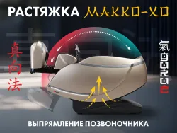 Массажное кресло FUJIMO 氣 GURU2 F800 Коричневый