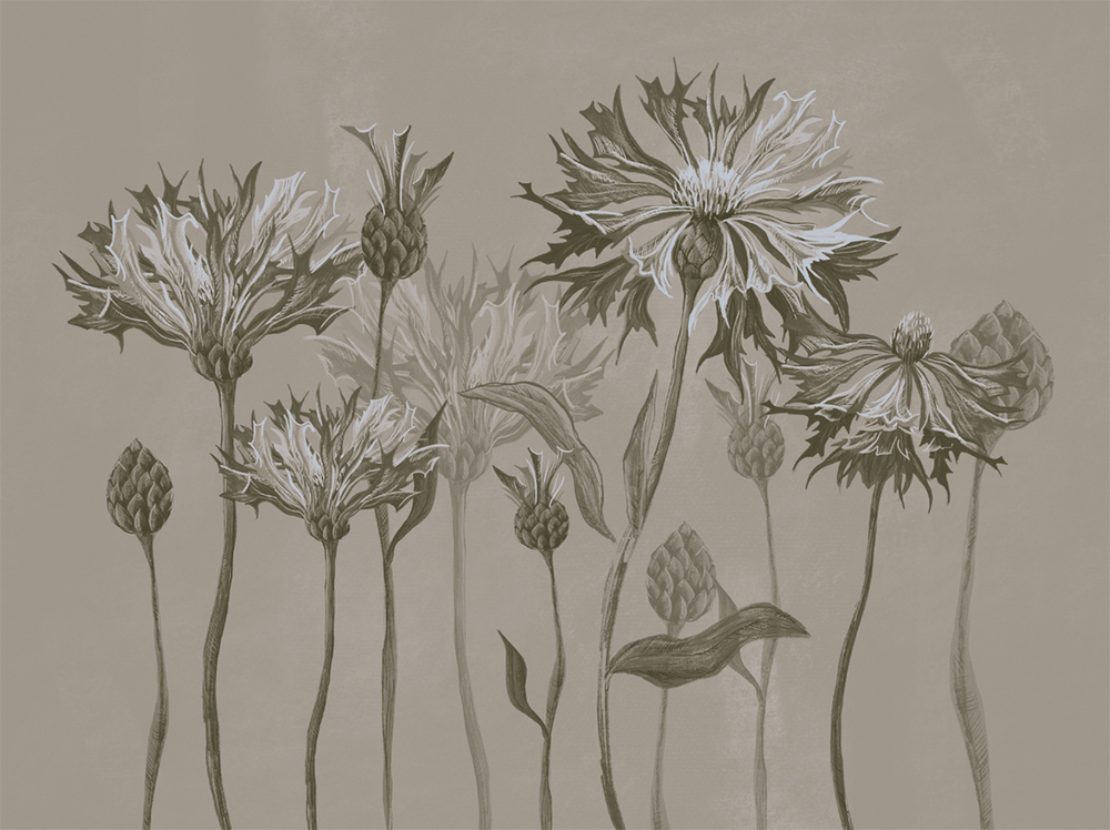 Коллекция SUMMERTIME