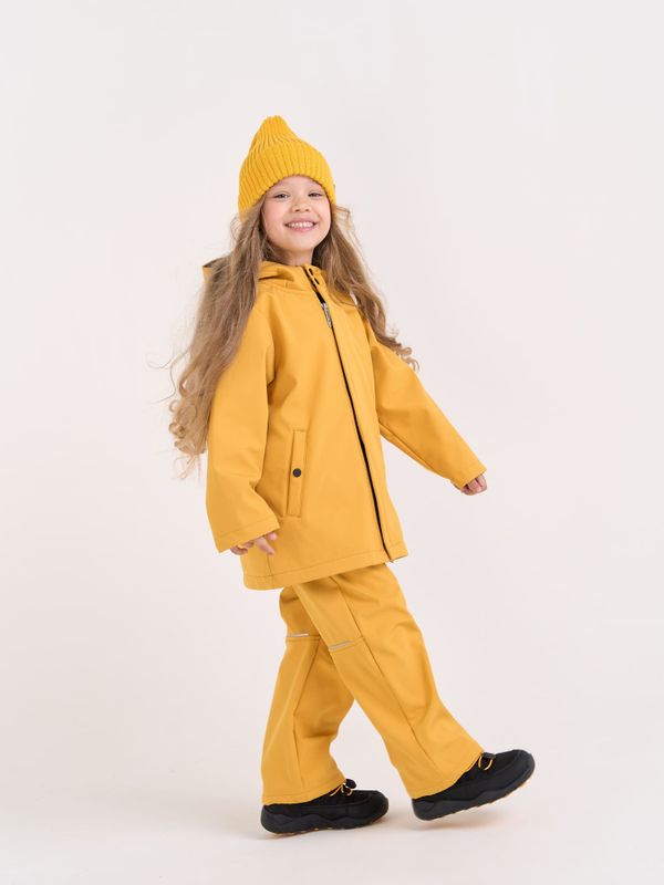 Брюки Softshell демисезонные 