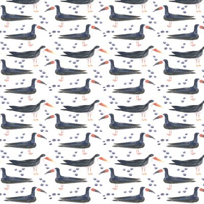 Африканская птичка водорез на белом фоне