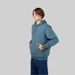  Толстовка мужская Dickies Skateboarding Logo Hoodie артикул:TWSK0 - купить в магазине Дайс