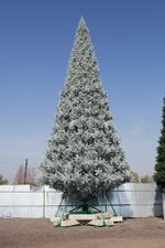 уличная елка ствольная "Альпийская" изумрудная