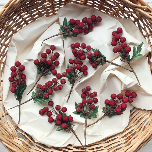 Ягоды на ветке, красные