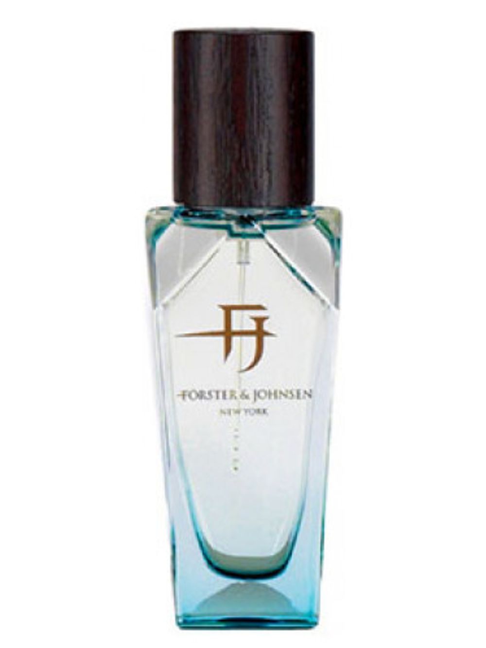 Forster and Johnsen Energy