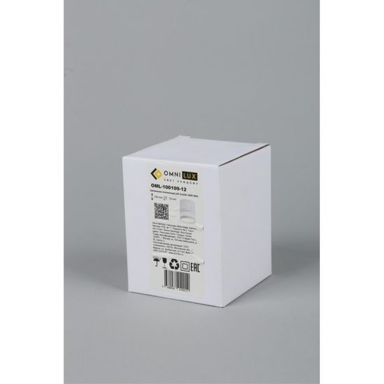 Светильник встраиваемый-накладной OML-100109-12