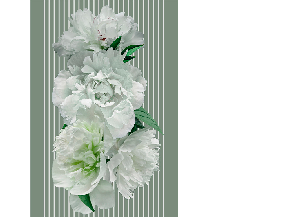 Дизайнерские обои Wall Street GreenDay-22