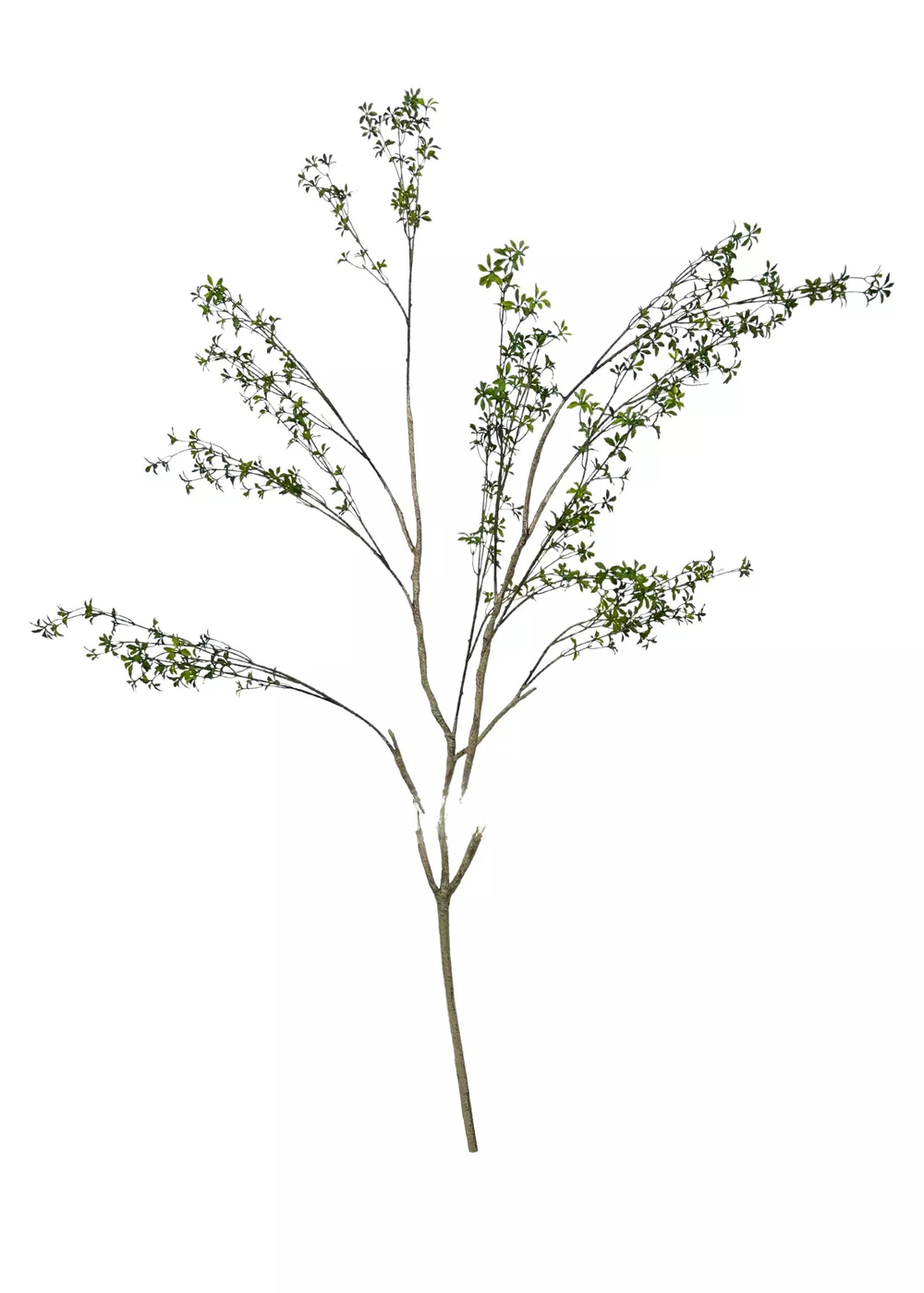 Колокольчик листовой ветвь 180 см без кашпо