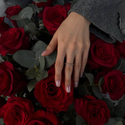 Red roses box