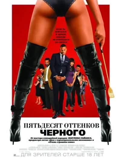 Пятьдесят оттенков черного (2015) (DVD-R)