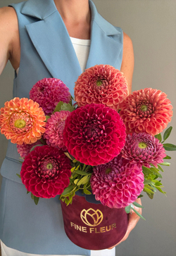 Роскошные георгины