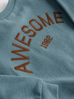 Свитшот и спортивные брюки в комплекте для малышей Next 984-910, Бирюзовый, Коричневый