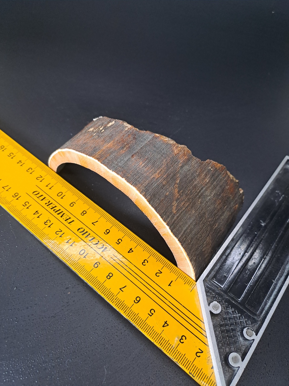 Бивень мамонта для коллекции и поделок